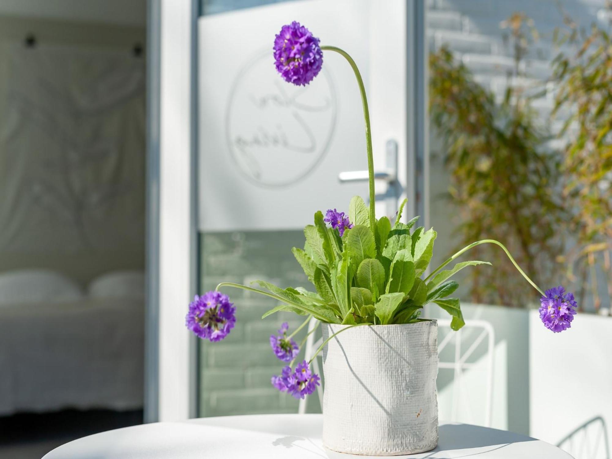 Pleasaing Holiday Home In Oostkapelle Near Centre ภายนอก รูปภาพ